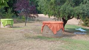 A garden outside LA TANA DEL CINGHIALE
