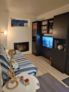 a living room with a bed and a tv at Chalet grand confort Bassin d'Arcachon in La Teste-de-Buch