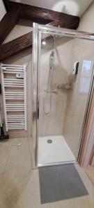 a shower with a glass door in a bathroom at Le Coin Zen - Parking, Borne VE et Fibre in Bergheim +62 photos