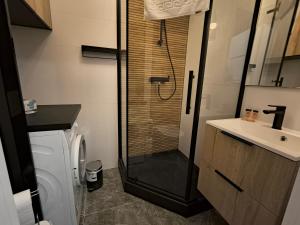 Bilik mandi di Tabago Studio 25 Zduńska Wola, Srebrna