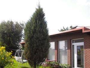 a small pine tree in front of a house at Ferienwohnungen am Bach in Marlow