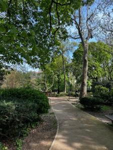 un camino en un parque con árboles y una persona sentada en un banco en Ambra Central Park - Giulia 19, en Trieste
