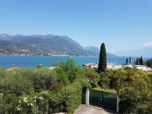 Příroda nedaleko vily