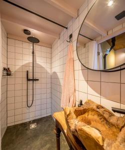 Un baño con ducha, lavabo y espejo. en Deborah's Hiding Place, en Alkmaar