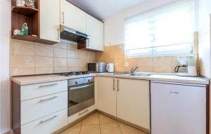 Kuchyň nebo kuchyňský kout v ubytování Apartment Raduniceva I
