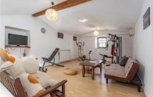 Γυμναστήριο ή/και όργανα γυμναστικής στο 4 Bedroom Awesome Apartment In Kastav