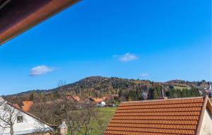 a view of a house with a mountain in the background at Cozy Apartment In Ravna Gora With Wifi in Ravna Gora +14 photos