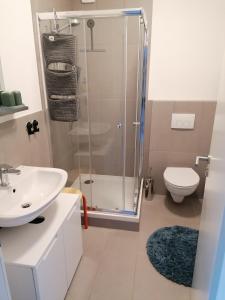 a bathroom with a shower and a toilet and a sink at Haus Charlottenburg 1, zentrumsnah gelegen, mit Blick auf die Festung in Königstein an der Elbe +7 photos