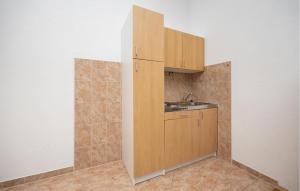 Kuchyňa alebo kuchynka v ubytovaní Apartment Vojskovo Iii