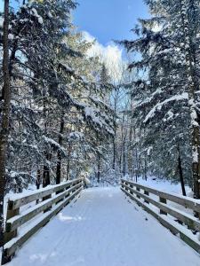 a snow covered path with a fence and trees at Au Gré Du Temps - Gîte B&B in Shefford