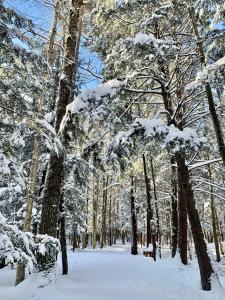 a snow covered path in a park with trees at Au Gré Du Temps - Gîte B&B in Shefford +50 photos