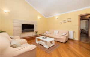 TV a/nebo společenská místnost v ubytování Amazing Apartment In Povljana