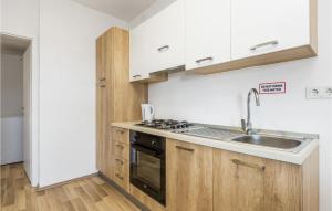 Kuchyň nebo kuchyňský kout v ubytování 1 Bedroom Lovely Apartment In Rakovica