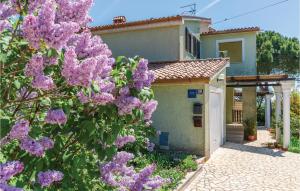 Zahrada ubytování Apartment Kunfin V