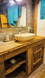 a bathroom counter with a sink and a mirror at BFC Ferienwohnung in Freudenstadt-Grüntal in Freudenstadt