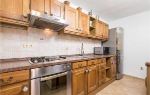 kuchnia z drewnianymi szafkami i urządzeniami ze stali nierdzewnej w obiekcie 6 Bedroom Beautiful Home In Povljana w mieście Povljana +37 zdjęć