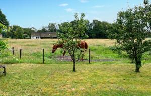 a horse standing in a field behind a fence at Amazing Home In De Moer in De Moer
