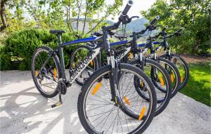 Jazda na bicykli v okolí ubytovania Holiday Home Gata 15 + 32 fotografií