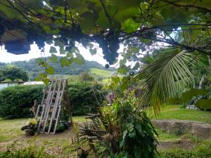 a ladder in a garden with mountains in the background at Mantiqueira lar doce lar in Gonçalves