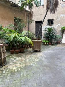 Φωτογραφία από το άλμπουμ του Hiera Favignana σε Τραπάνι