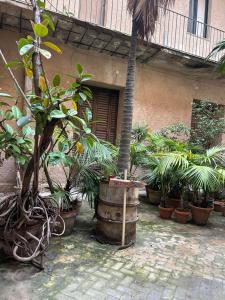 Κήπος έξω από το Hiera Favignana