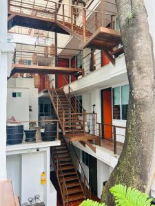 比亚维森西奥TREEHOUSE1959 HOTEL的树屋中的螺旋楼梯