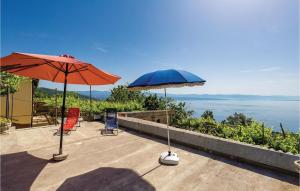 Naturlandskabet i nærheden af feriehuset + 28 billeder