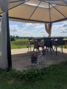 a picnic table with an umbrella and a bike with flowers at Elen in Goliševa