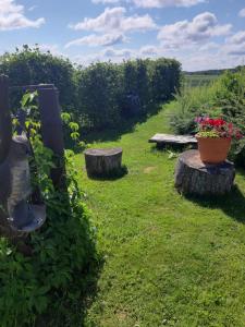 a garden with two benches and a pot of flowers at Elen in Goliševa