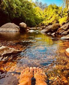 a persons feet in the water in a stream at Little Bricks Reverside Villa by GreenEscapes in Vythiri