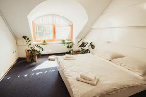 Postel nebo postele na pokoji v ubytování Hotel U Racka + 37 fotografií