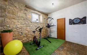 a room with a gym with exercise equipment and a brick wall at Lovely Home In Motovun With Sauna in Motovun