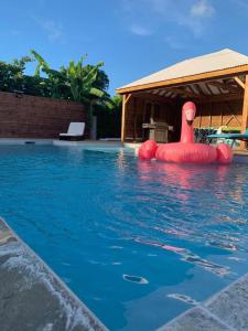 une piscine vide avec un gonflablelatablelatable dans l'établissement APPARTEMENT "Ti CABANE" villa Bel Kay Nou, à Sainte-Luce