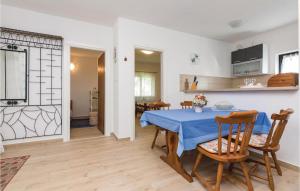 Kuchyňa alebo kuchynka v ubytovaní Holiday Home Privlaka Put Grzanove Punte