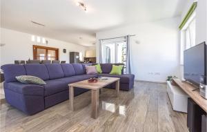 TV a/nebo společenská místnost v ubytování Four-Bedroom Holiday Home In Blato Na Cetini