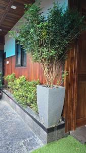 Zahrada ubytování Chilambukadan Residency