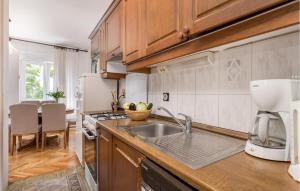 Kuchyň nebo kuchyňský kout v ubytování 3 Bedroom Nice Home In Barbat Na Rabu