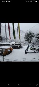 Fotografie z fotogalerie ubytování Orchid Valley Homestay v destinaci Dirang Dzong