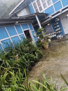 Fotografie z fotogalerie ubytování Orchid Valley Homestay v destinaci Dirang Dzong