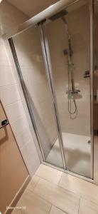 a shower with a glass door in a bathroom at Le Fiacre in Nancy +9 photos