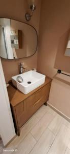 a bathroom with a white sink and a mirror at Le Fiacre in Nancy