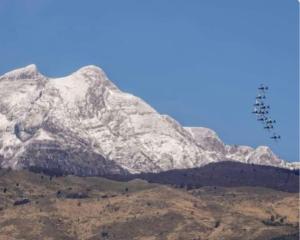 a mountain in the distance with a tree on it at Casa Pionieri in Roveredo in Piano