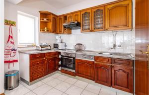 kuchnia z drewnianymi szafkami i kuchenką w obiekcie Five-Bedroom Holiday Home In Rovanjska w mieście Rovanjska