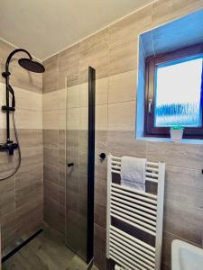 a bathroom with a shower and a sink and a window at Apartmány U rybníků in Černá v Pošumaví +11 photos