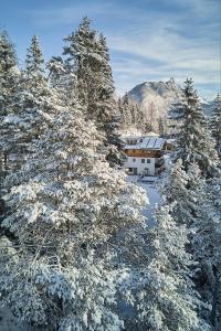 a group of snow covered trees in front of a house at Das Habitat in Leutasch