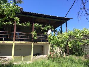 Zahrada ubytování Leonidze Guesthouse