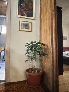 Postel nebo postele na pokoji v ubytování Leonidze Guesthouse