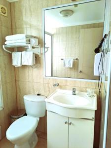 un bagno con un water, un lavandino e uno specchio di Hotel Solaris a Huasco