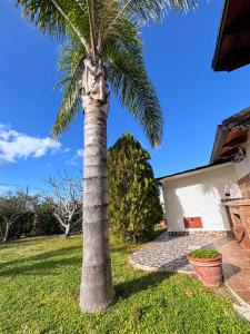 Zdjęcie z galerii obiektu Villa Sole w mieście Torrenova +22 zdjęcia