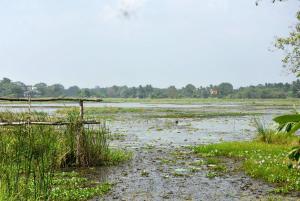 Paesaggio naturale nelle vicinanze dell'affittacamere